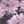 Pink Pixel Floral