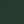 Conifer