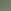 SHINY GOLD/DARK GREEN