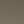 SHINY GOLD/DARK BROWN