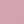 Pink Wisteria