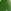WHITE / WHITE / PALE GREEN