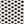 Black / New Ivory