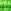 Tory Gold / Green