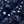 NEW NAVY
