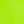 Vivid Lime