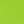 Bright Fern