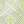 New Ivory / Green