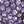 Light Silver / Purple