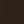 Winter Rich Brown