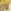 TRANSPARENT YELLOW/BROWN