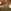CLEAR BROWN TORT/BROWN GRADIENT