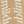 Taupe / Smoky Cream