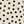 Cream Dot