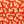 Red Little Leaves