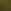 GREEN VERNICE