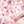 SHOCKTART / LIGHT ROSE