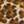LEOPARD MULTI
