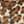 LEOPARD MULTI / LEOPARD MULTI