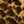 LEOPARD MULTI / LIGHT TEAK