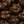 Dark Cocoa