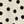 Cream Dot