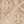 Beige T Monogram