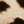 CHEETAH SPOTS