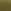 Dark Olive