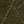 Dark Olive