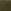 Dark Olive