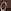Dark Cocoa