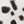Cow Print