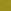 Vibrant Green