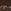 Dark Brown / Silver