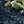 MEDIUM NAVY