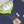 Hot Air Balloon Ribbon Tie Navy