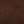 DARK COCOA / GOLD
