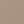 Soft Cement / Wild Mushroom