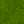 Leaf Green