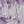 Tory Silver / Lilac