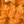 Orange/Tory Gold