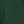Conifer