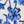 Blue Branches