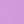 Purple Holly