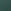 Conifer