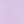 Lavender Field