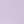 Lavender Field / Dark Roast