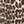Reva Leopard