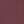 Tory Gold / Divine Burgundy / Tory Navy